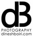 Logo Dinesh Boiri