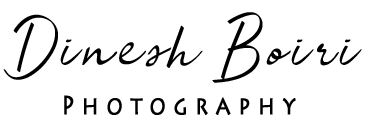Dinesh Boiri Logo black