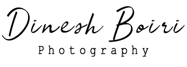 Dinesh Boiri Logo black